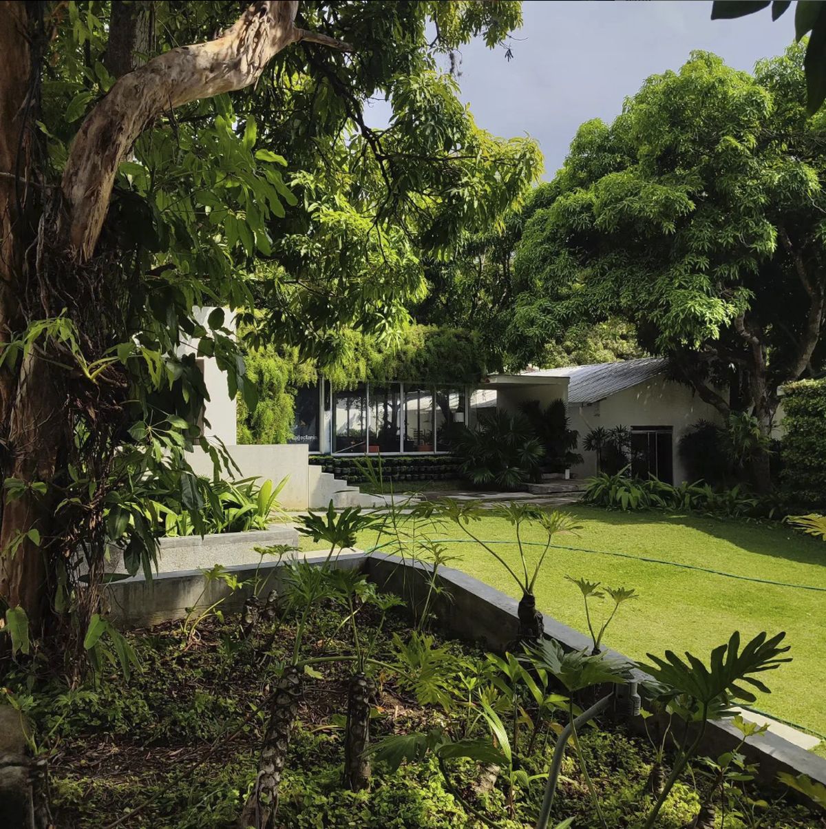 Jardín del Centro de Arte Los Galpones: árboles en primer plano, césped y galerías blancas al fondo